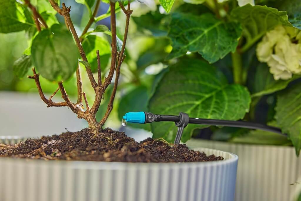 Tropfpflanzenpflege mit Bewässerungssystem in einem Kübel mit grünen Pflanzen.