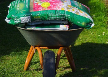 Gelegentlich schimmelt Blumenerde im Sack.