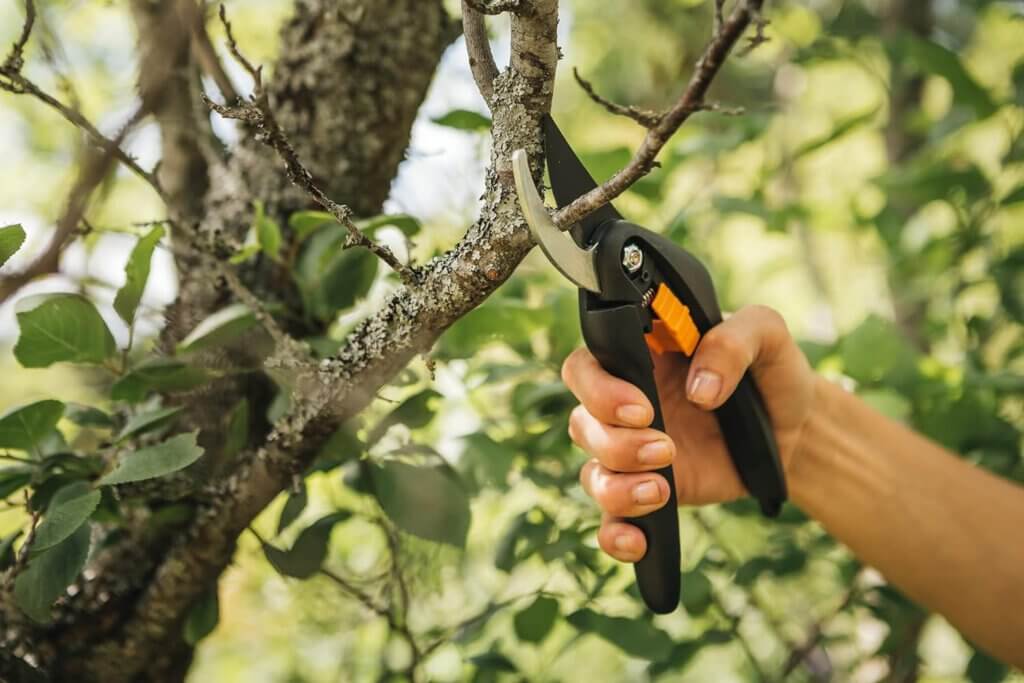 Fiskars Bypass Gartenschere wird gehalten von einer Hand, die einen Ast abschneidet