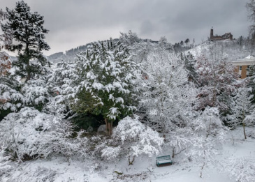 Verschneiter Garten mit Bäumen und einem Sitzplatz, ideal für winterhartes Gärtnern.