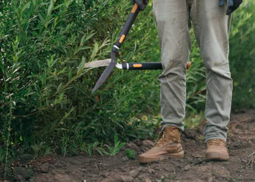 Beim Heckeschneiden sollte man wissen, wo es langgeht.