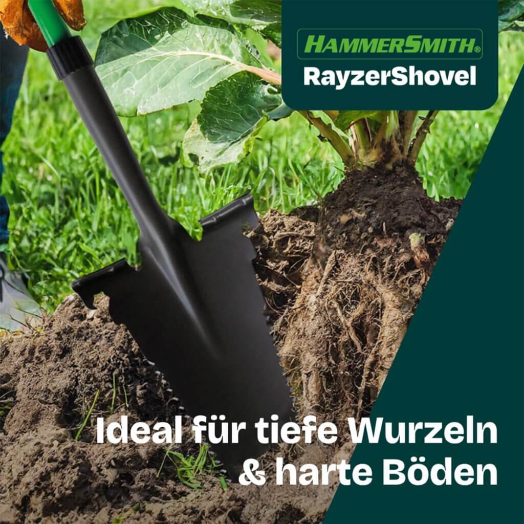 Wurzelspaten RayzerShovel steckt neben freigelegten dicken Wurzeln im Boden